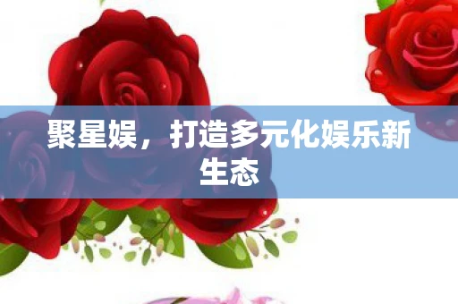 聚星娱，打造多元化娱乐新生态