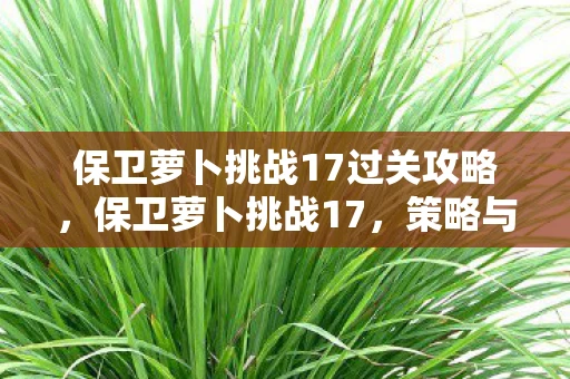 保卫萝卜挑战17过关攻略，保卫萝卜挑战17，策略与技巧的全面解析