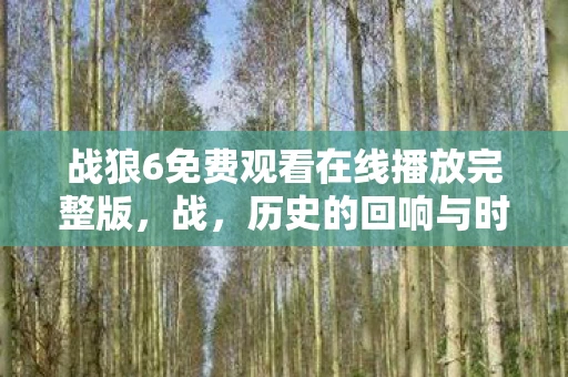 战狼6免费观看在线播放完整版，战，历史的回响与时代的挑战