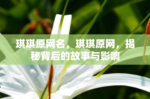 琪琪原网名，琪琪原网，揭秘背后的故事与影响