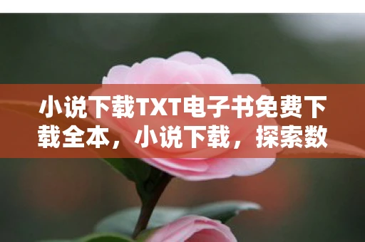 小说下载TXT电子书免费下载全本，小说下载，探索数字时代的阅读新方式