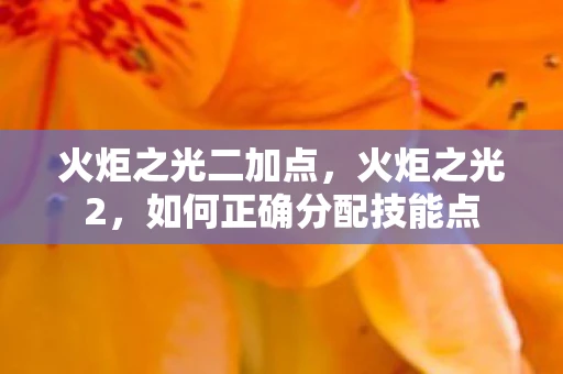 火炬之光二加点，火炬之光2，如何正确分配技能点