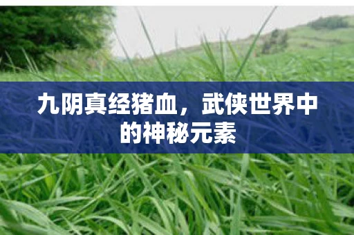 武侠世界中的神秘元素图片