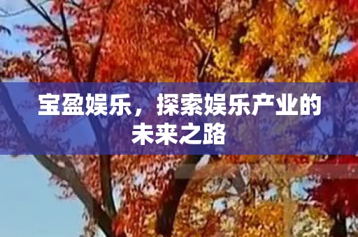 宝盈娱乐，探索娱乐产业的未来之路