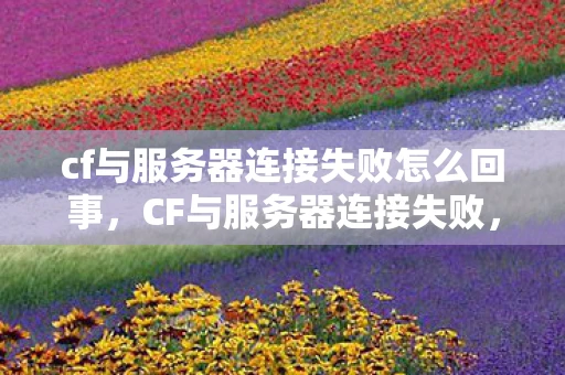cf与服务器连接失败怎么回事，CF与服务器连接失败，原因分析与解决方案