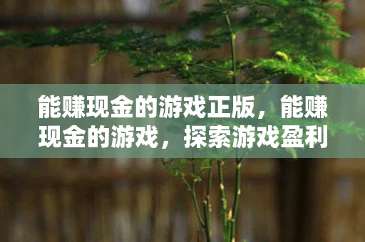 能赚现金的游戏正版，能赚现金的游戏，探索游戏盈利的奥秘