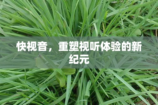 快视音，重塑视听体验的新纪元