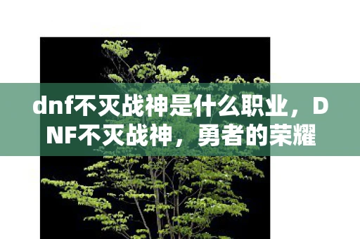 dnf不灭战神是什么职业，DNF不灭战神，勇者的荣耀之路