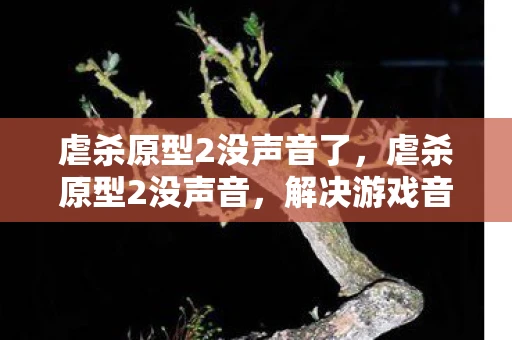 虐杀原型2没声音了，虐杀原型2没声音，解决游戏音频问题的全面指南