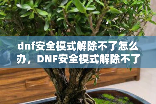 dnf安全模式解除不了怎么办，DNF安全模式解除不了？这些步骤帮你轻松搞定！