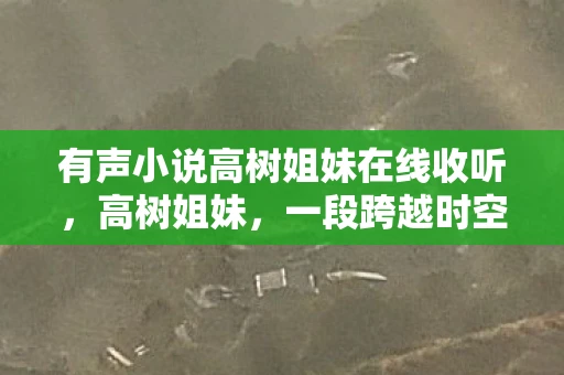 有声小说高树姐妹在线收听，高树姐妹，一段跨越时空的传奇