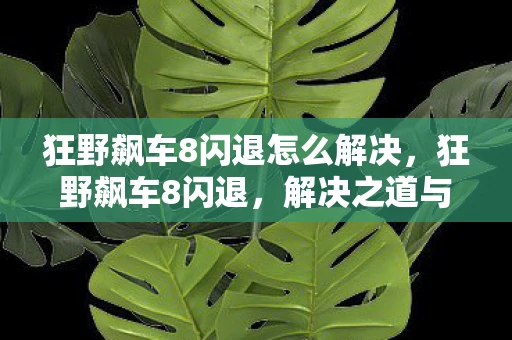 狂野飙车8闪退怎么解决，狂野飙车8闪退，解决之道与游戏优化建议
