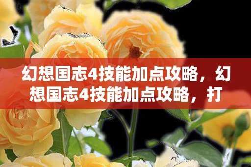 幻想国志4技能加点攻略，幻想国志4技能加点攻略，打造最强角色