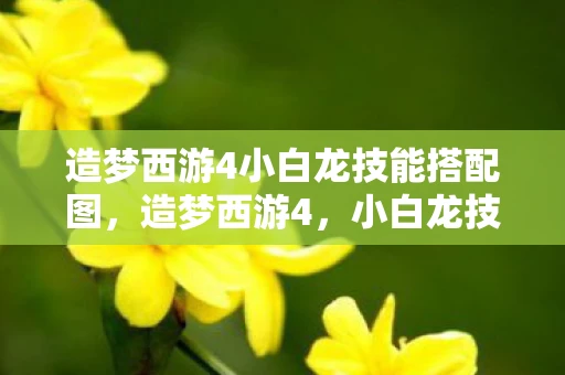 造梦西游4小白龙技能搭配图，造梦西游4，小白龙技能搭配全解析