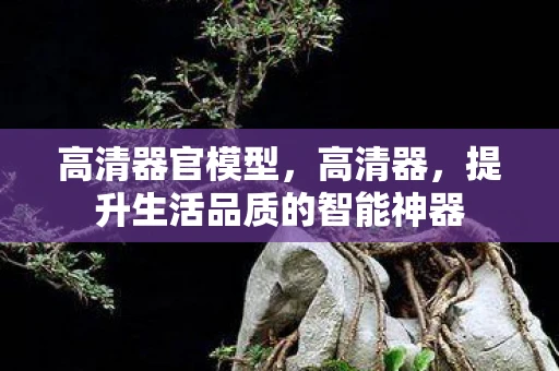 高清器官模型，高清器，提升生活品质的智能神器
