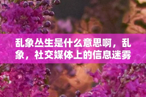 乱象丛生是什么意思啊，乱象，社交媒体上的信息迷雾与真假难辨
