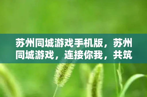 苏州同城游戏手机版，苏州同城游戏，连接你我，共筑欢乐