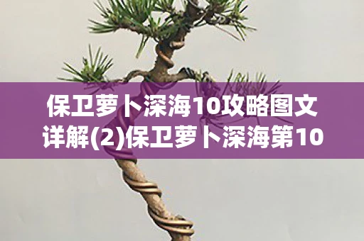 保卫萝卜深海10攻略图文详解(2)保卫萝卜深海第10关金萝卜攻略及布阵图详解