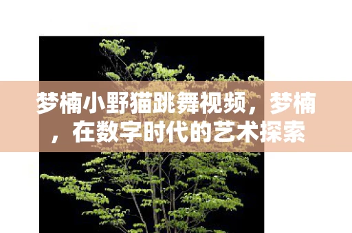 梦楠小野猫跳舞视频，梦楠，在数字时代的艺术探索