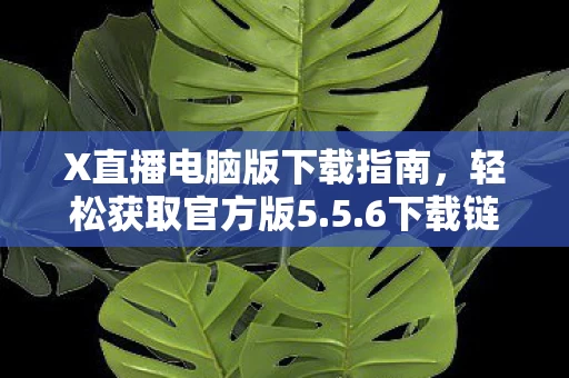 X直播电脑版下载指南图片