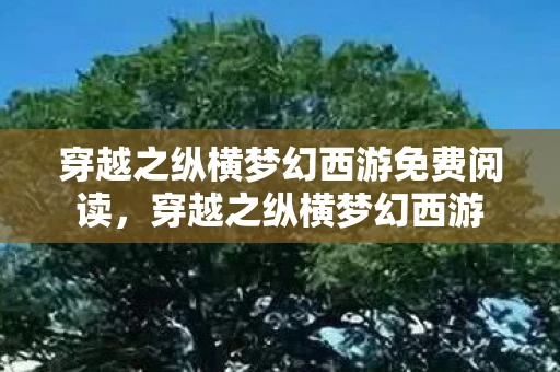 穿越之纵横梦幻西游免费阅读，穿越之纵横梦幻西游