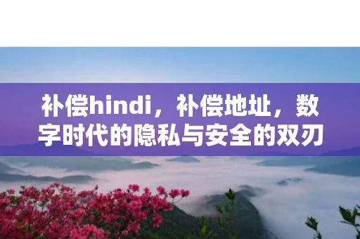 补偿hindi，补偿地址，数字时代的隐私与安全的双刃剑