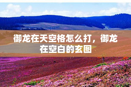 御龙在天空格怎么打，御龙在空白的玄图