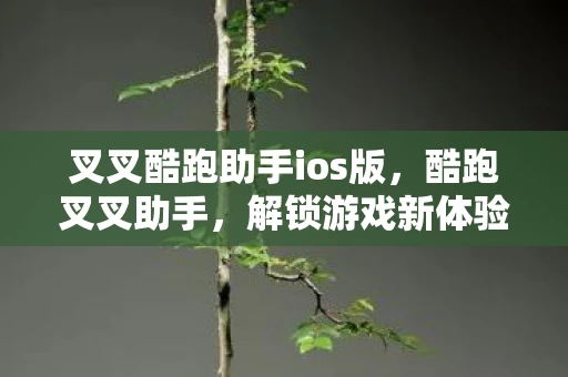 叉叉酷跑助手ios版，酷跑叉叉助手，解锁游戏新体验