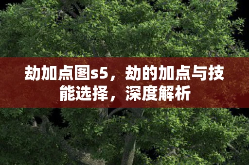 劫加点图s5，劫的加点与技能选择，深度解析
