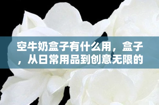 空牛奶盒子有什么用，盒子，从日常用品到创意无限的神奇存在