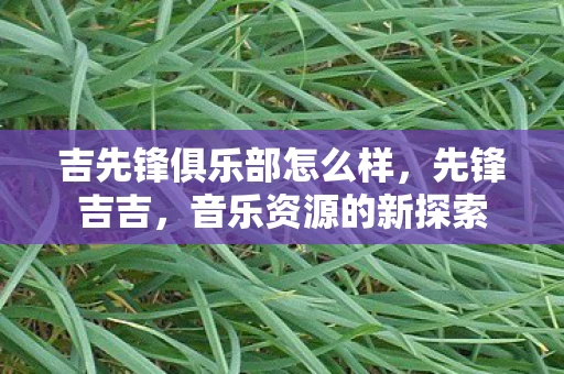 吉先锋俱乐部怎么样，先锋吉吉，音乐资源的新探索