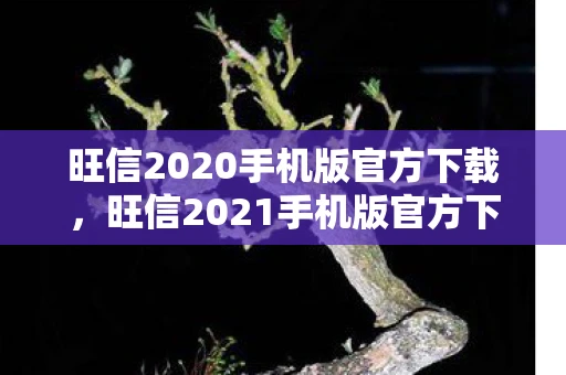 旺信2020手机版官方下载，旺信2021手机版官方下载，高效沟通，从旺信开始