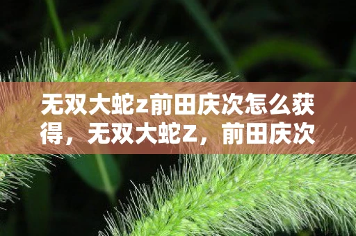 无双大蛇z前田庆次怎么获得，无双大蛇Z，前田庆次的传奇之路