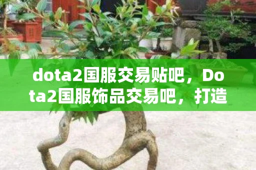 dota2国服交易贴吧，Dota2国服饰品交易吧，打造你的专属游戏装备