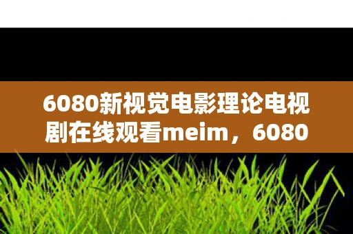 6080新视觉电影理论电视剧在线观看meim，6080新视觉，解锁高清影视新体验