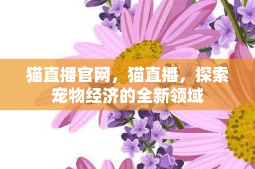 猫直播官网，猫直播，探索宠物经济的全新领域