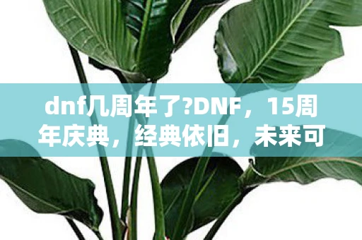 dnf几周年了?DNF，15周年庆典，经典依旧，未来可期