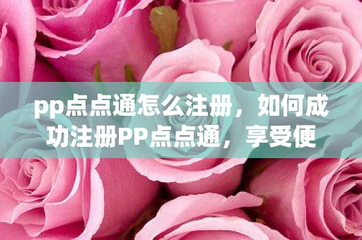 pp点点通怎么注册，如何成功注册PP点点通，享受便捷服务
