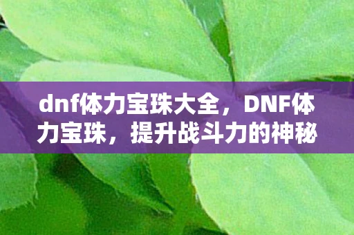 dnf体力宝珠大全，DNF体力宝珠，提升战斗力的神秘宝物