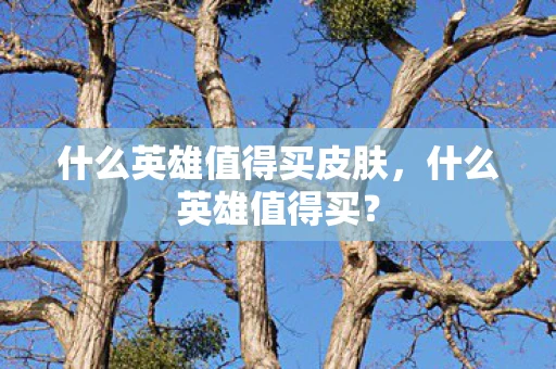 什么英雄值得买皮肤，什么英雄值得买？