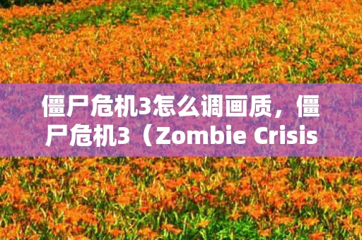 僵尸危机3怎么调画质，僵尸危机3（Zombie Crisis 3）是一款非常受欢迎的塔防游戏，玩家需要在游戏中建造防御塔来抵御僵尸的进攻。如果你想要调整游戏设置，以下是一些建议