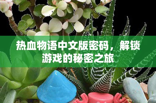 热血物语中文版密码图片