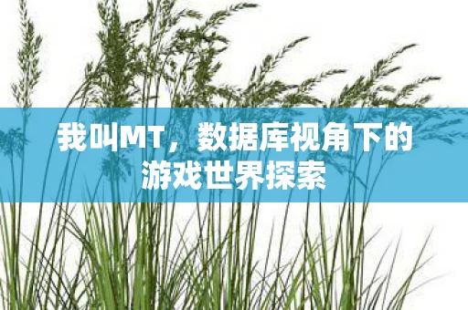 数据库视角下的游戏世界探索图片