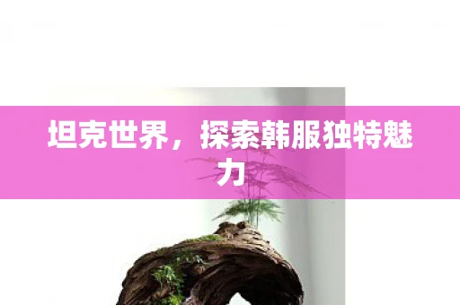 坦克世界，探索韩服独特魅力