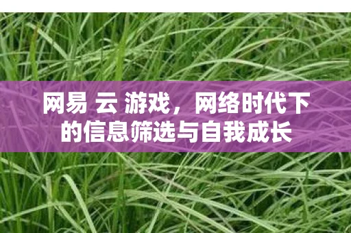 网易 云 游戏，网络时代下的信息筛选与自我成长