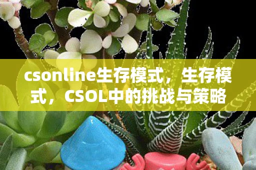 csonline生存模式，生存模式，CSOL中的挑战与策略