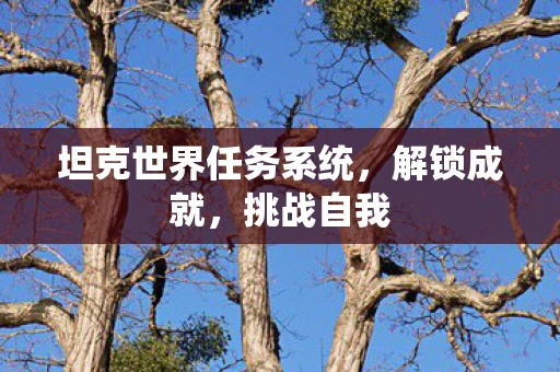 坦克世界任务系统，解锁成就，挑战自我