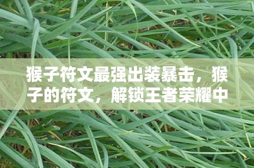 猴子符文最强出装暴击，猴子的符文，解锁王者荣耀中的灵动与智慧