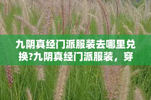 九阴真经门派服装去哪里兑换?九阴真经门派服装，穿越武侠世界的时尚指南