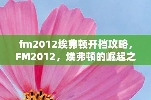 fm2012埃弗顿开档攻略，FM2012，埃弗顿的崛起之路